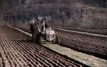 Ploughing Match, Fasnacloich