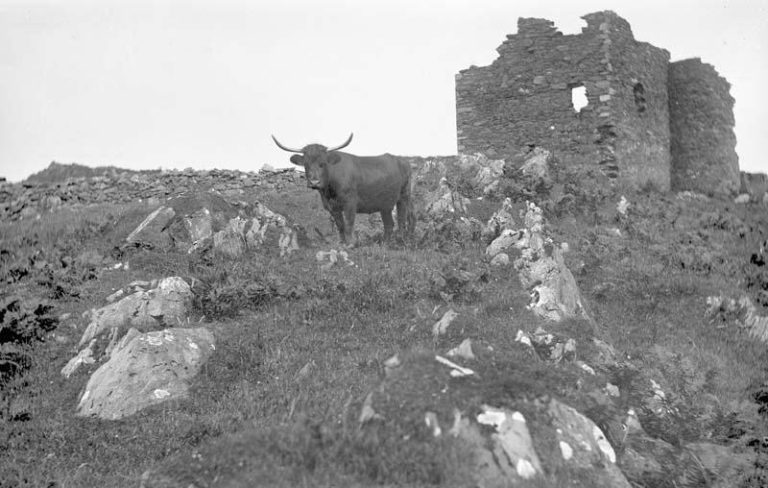 SHUNA – The Tragic Island 1873